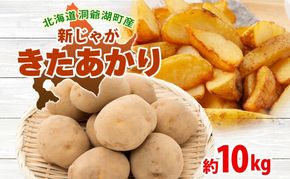 北海道 洞爺湖町産 新じゃがいも きたあかり 約10kg  Mサイズ以上混載 2026年10月初旬より順次出荷 北海道産 新じゃが じゃがいも ジャガイモ 馬鈴薯 旬 野菜 農作物 送料無料 産地直送 常温 洞爺湖町