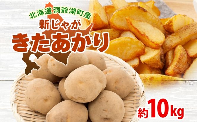 北海道 洞爺湖町産 新じゃがいも きたあかり 約10kg  Mサイズ以上混載 2026年10月初旬より順次出荷 北海道産 新じゃが じゃがいも ジャガイモ 馬鈴薯 旬 野菜 農作物 送料無料 産地直送 常温 洞爺湖町