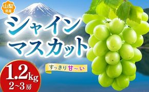 【2027年先行予約】【山梨県都留市ふるさと納税】クール便配送　山梨県産シャインマスカット約1.2kg(2～3房)　HD001