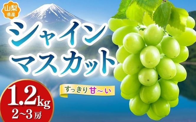 【2027年先行予約】【山梨県都留市ふるさと納税】クール便配送　山梨県産シャインマスカット約1.2kg(2～3房)　HD001