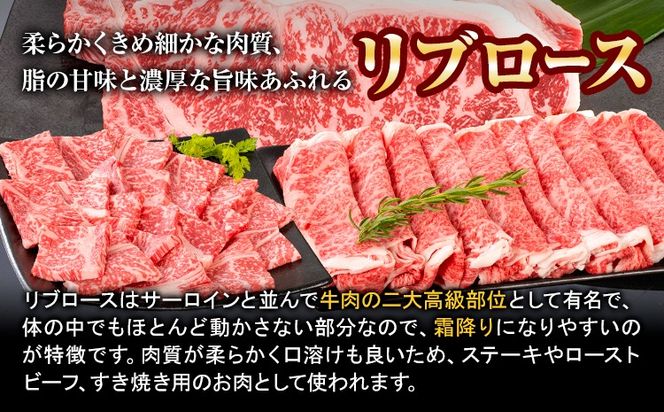 牛肉 熊野牛 リブロース すき焼き しゃぶしゃぶ 用 500g 株式会社Meat Factory《30日以内に出荷予定(土日祝除く)》和歌山県 日高川町 送料無料 国産 牛肉 肉 黒毛和牛 リブ ロース すきやき しゃぶしゃぶ 鍋 お取り寄せグルメ---wshg_fmfy56_30d_24_24000_500g---