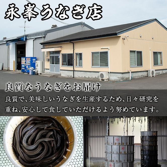 【108903b】＜定期便・全6回＞大隅産うなぎの蒲焼 (計約2520g(約140g×3尾)×6回・有頭) うなぎ 高級 ウナギ 鰻 国産 蒲焼 蒲焼き たれ 鹿児島【永峯うなぎ店】