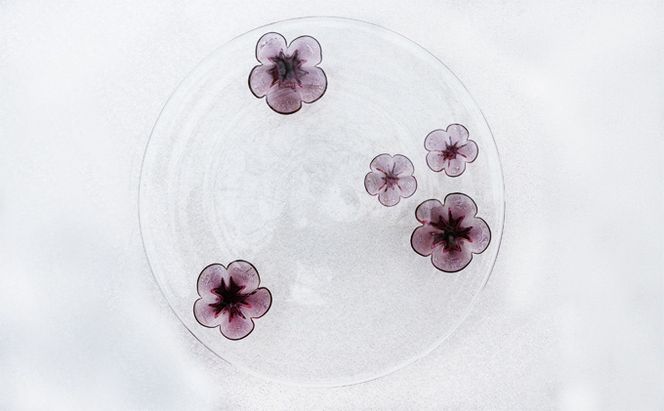 カメリア23cmプレート（ワイン） 食器 皿 インテリア 工芸品 格子模様 ガラスプレート 人気のプレート 手作り 飾り皿 お花 