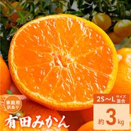 家庭用 訳あり 有田みかん 和歌山 2S～Lサイズ混合 約3kg_DZ6237