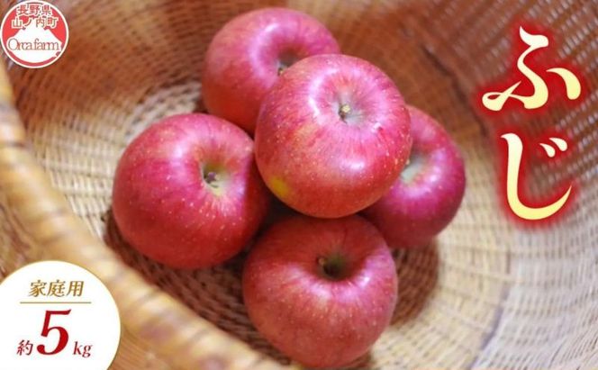 【2026年11月～発送】ふじ 家庭用 約5kg りんご リンゴ 林檎 果物 フルーツ 長野県 長野 山ノ内町