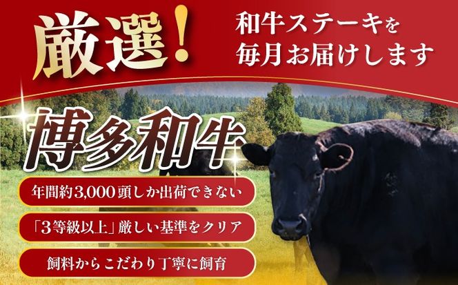 【全12回定期便】博多和牛 食べ比べ ステーキ 定期便 ( サーロイン /  ヒレ /  シャトーブリアン ) 《築上町》【久田精肉店】 肉 和牛 牛 精肉[ABCL141]