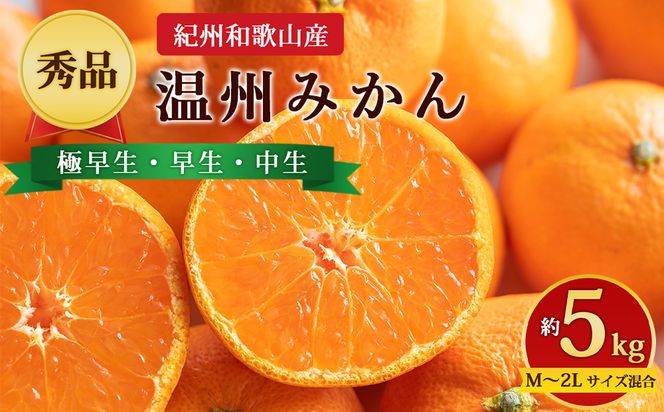 【先行予約】【秀品】紀州和歌山産 温州みかん 約5kg（箱込み） M～2L サイズ混合（極早生・早生・中生）