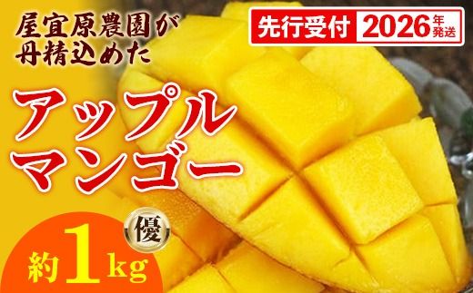 【先行受付】【2026年発送】屋宜原農園が丹精込めた「アップルマンゴー」優約1kg - 先行予約 沖縄県産 産地直送 南国フルーツ 旬の味覚 季節の果物 贈り物 ギフト 沖縄県 八重瀬町