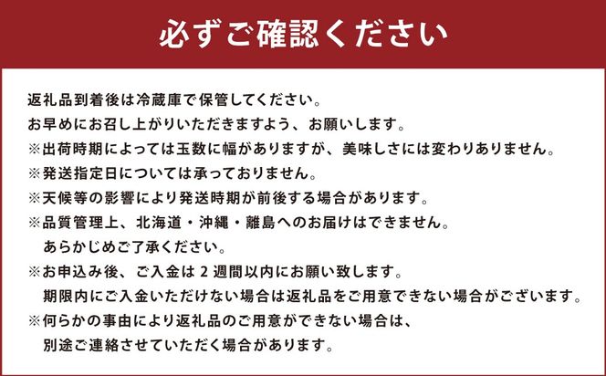 福岡のリッチなフルーツ 3回 定期便 【2026年10月下旬～12月下旬発送予定】 フルーツ 果実 果物 秋王 甘うぃ あまおう 柿 キウイ いちご