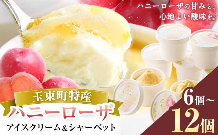 抜群の糖度と爽やかな酸味♪ハニーローザアイスクリーム&ハニーローザシャーベット 120ml 選べる 6個 8個 12個 熊本県玉名郡玉東町 すもも ハニーローザ アイス ぷらっとぎょくとう[60日以内に出荷予定(土日祝除く)]---gkt_prt_20_6k---