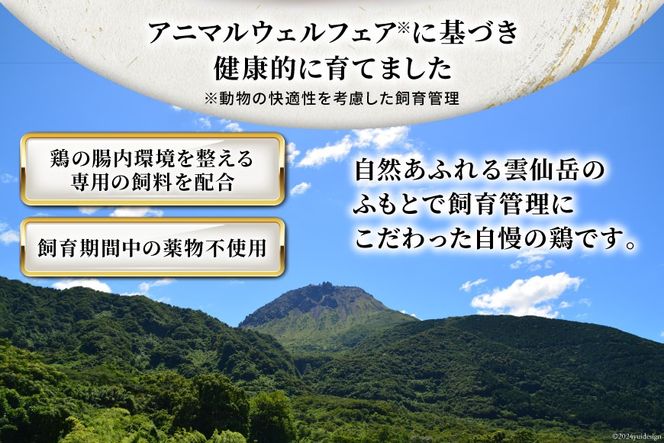 BI083 鶏肉 雲仙しまばら鶏 もも肉 260g 12袋 計3.12kg [ 小分け 鶏もも肉 若鶏 とりもも肉 とりもも 肉 チキン 真空パック 大光食品 長崎県 島原市 ]