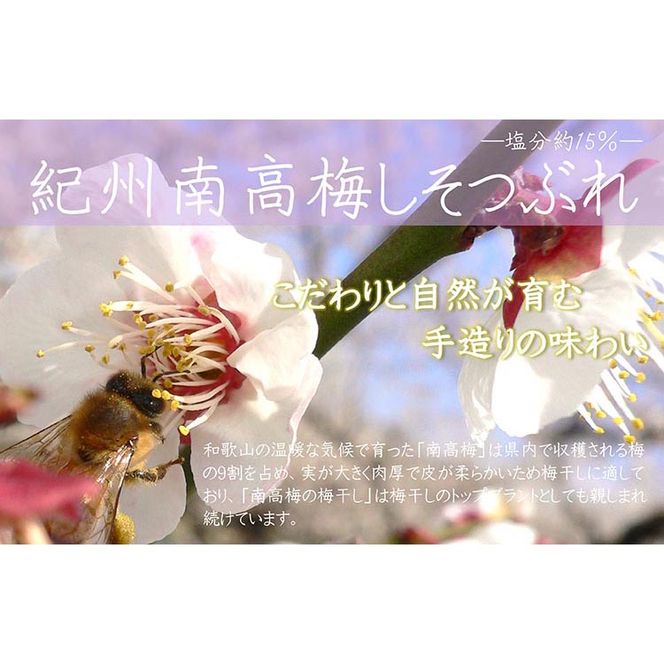 【定期便/3か月ごと/全3回】紀州南高梅しそ漬つぶれ（塩分約15％）700g×2