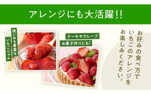 【 先行予約 】 訳あり いちご いばらキッス 800g 【 2027年2月以降発送 】  （常陸太田市 共通返礼品 ) 苺 果物 くだもの フルーツ 不揃い ジャム