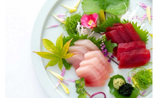 勝浦産生マグロ食べ比べ＋鰹焼節セット / 生鮪 鮪 マグロ キハダマグロ 生節 なまぶし なまり節 刺身 柵 サク【tka002A】