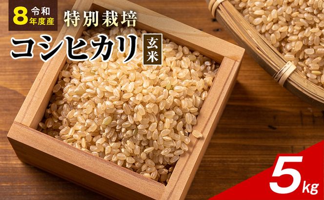 令和8年産 特別栽培米 コシヒカリ 玄米 5kg 静岡県産 色彩選別済 食に意識高い方へオススメ