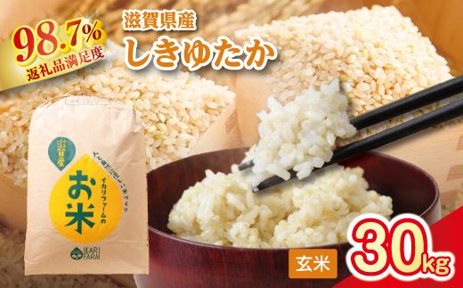 【新米】令和8年産　すっごいもちもち　「しきゆたか」　玄米【30kg×1袋】【C008W2】（滋賀県　近江八幡市）