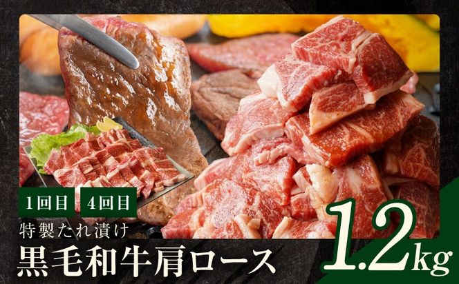mrzZ011 焼肉定期便 総量6.8kg（肩ロース／牛タン／牛ハラミ）全6回 丸善味わい加工【毎月発送コース】