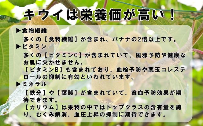 【FUJI SMILE（フジスマイル）】キウイ　２ｋｇ（１０～１２個）　ヘイワードキウイ フルーツ 果物 くだもの キウイフルーツ 山梨 やまなし 富士川町
