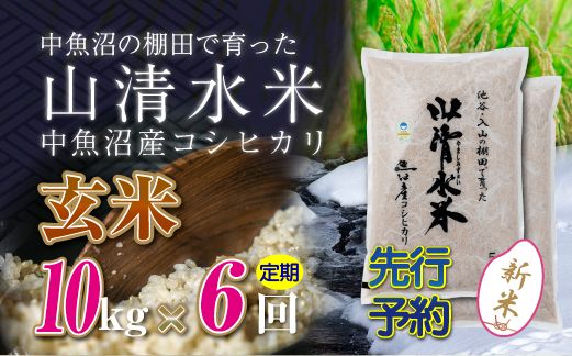 【令和8年産 先行予約】【定期便／全6回】玄米10kg 新潟県魚沼産コシヒカリ「山清水米」