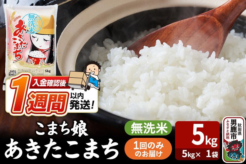 令和7年産『こまち娘』あきたこまち 無洗米(5kg×1袋)吉運商店 秋田県 男鹿市 お米 お弁当 おにぎり [米 こめ コメ 無洗米 あきたこまち 秋田県 男鹿市 5kg]|23_ysu-130501