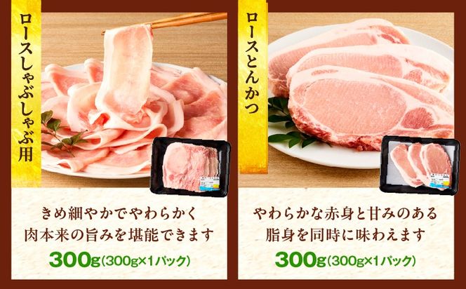 豚肉バラエティー詰合せセット【4.5kg】豚肉 豚肉詰め合わせ セット 小間切れ ウデ モモ スライス ロース バラ 肩ロース とんかつ 冷しゃぶ 豚汁 生姜焼き 国産 プレゼント 贈答 贈り物 ギフト_kn085-013-01