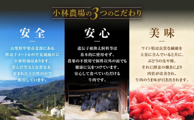 甲州ワインビーフ　カタロースすき焼き用　人気　おすすめ　国産　贈答　ギフト　お取り寄せ　肉　牛肉　甲州ワインビーフ　山梨県　高級　ジューシー　とろける　旨味　赤身　A-9