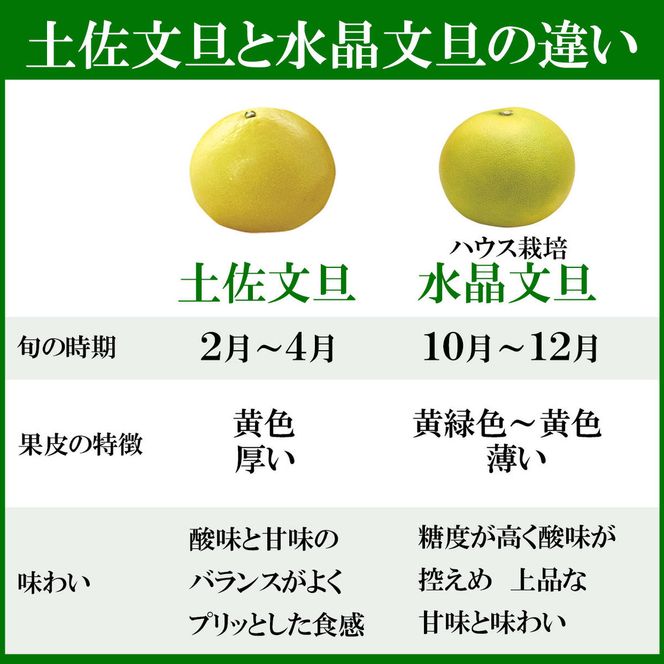【先行予約】高知県産水晶文旦 特選ご贈答用 中玉6個入り〈2026年10月上旬～11月上旬頃発送〉  / ぶんたん ブンタン 水晶文旦 果物 柑橘 フルーツ お取り寄せ 特産品 おいしい【白木果樹園】 [BQAI019]