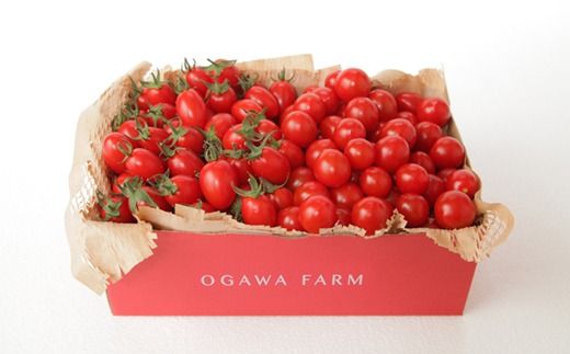 香TOMATO&ドライトマト[OGAWA FARM]