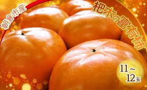 柿 富有柿 11～12玉 ファームステーションバサロ 果物類 かき 