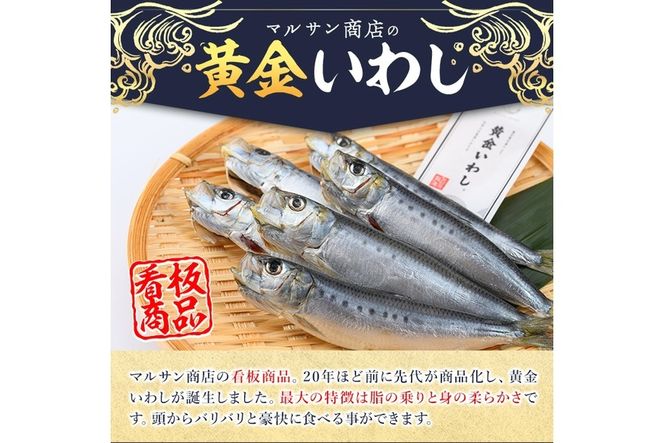 ＜訳あり＞黄金いわし (60尾以上) 黄金 いわし イワシ 丸干し 魚 海鮮 冷凍 おつまみ 小分け【GX002】【(有)マルサン商店】