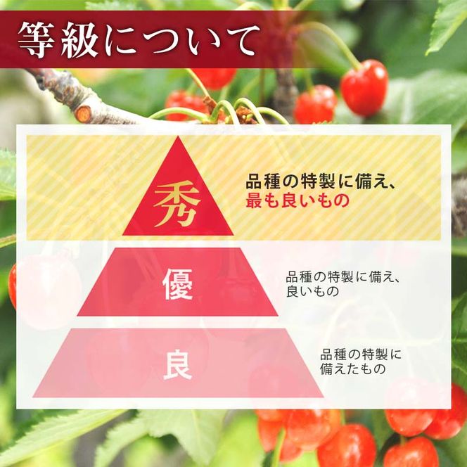 FYN6-254 ≪2026年先行予約≫山形県産 さくらんぼ 品種おまかせ(佐藤錦・紅秀峰など) 350g 秀/L以上 バラパック詰め 2026年6月中旬頃より発送 果物 くだもの フルーツ 夏果実 サクランボ チェリー 桜桃 高級 化粧箱 ギフト箱 贈り物 贈答 ギフト プレゼント 自宅 家庭 産地直送 山形県 西川町 月山