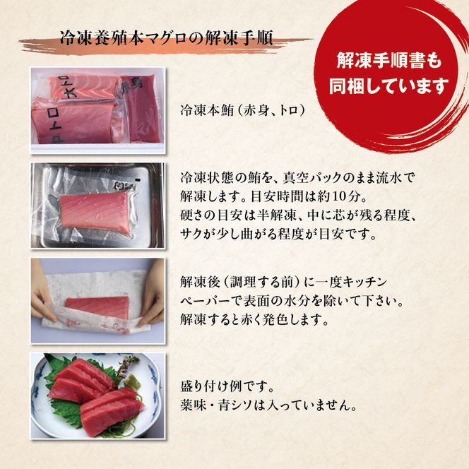 本マグロ（養殖）トロ＆赤身セット 1350g 【11月発送】【配達日指定不可】高級 クロマグロ  中トロ 中とろ 大トロ 大とろ まぐろ マグロ 鮪 刺身 赤身 柵 じゃばらまぐろ 本マグロ 本鮪【nks111B-11】