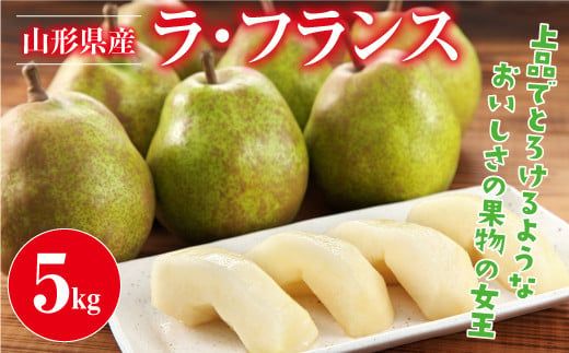 FYN9-387 ≪2026年先行予約≫山形県産 西洋梨 ラ・フランス 5kg(14～20個) 2026年11月上旬から順次発送 洋梨 ラフランス 秋果実 果物 くだもの フルーツ 自宅用 産地直送 山形県 西川町 月山