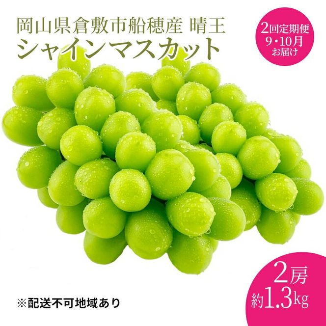 ぶどう 2026年 先行予約 【プレミアムシャインマスカット 晴王 2房 合計約1.3kg 定期便 2回】船穂産 赤秀品以上 岡山県産 葡萄 ブドウ ギフト ハレノフルーツ 皮ごと食べる みずみずしい