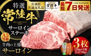 【特選】常陸牛（ひたちぎゅう） A5等級 サーロインステーキ 3枚（250g×3） 計750g（茨城県共通返礼品 茨城県産）