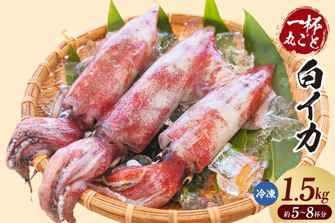 yɌzyCJ 1.5kgi5-8txj Ⓚzlꂽ܂ o 3D NxQ CJ  CJ  lC  Ɍ  RđN 74-06