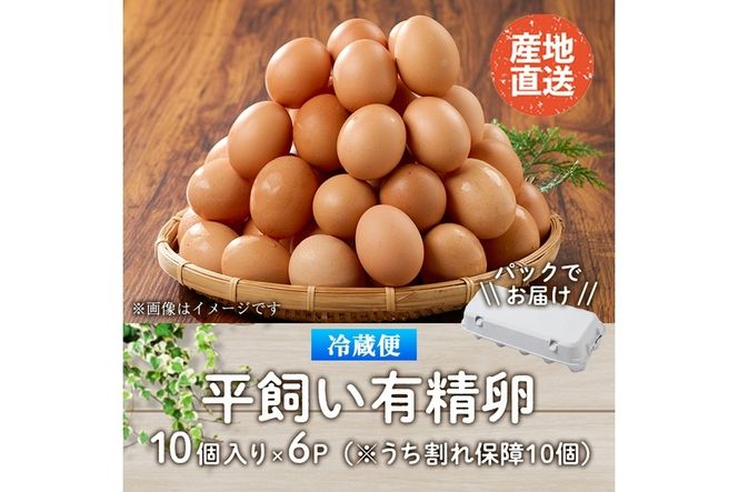 産直・平飼い有精卵 (計60個) 卵 玉子 卵かけご飯 玉子焼き 平 産直・平飼い有精卵 (計60個) 卵 玉子 卵かけご飯 玉子焼き 平