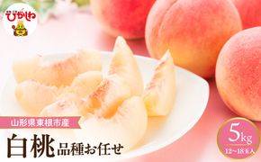 【2026年産】 採れたて白桃(品種お任せ) 約5kg (12～18玉) 山形県 東根市　hi026-056