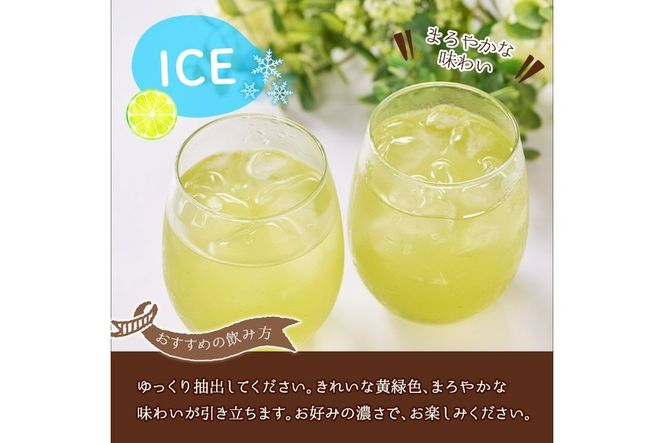 マリンレモン緑茶(4袋・2g×6個) お茶 ティー リフレッシュティー 防災【HD203】【さいき本舗 城下堂】