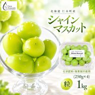 【2026年産】北海道 仁木町産 シャインマスカット 粒 1kg (250g×4) 化学肥料・除草剤不使用 ぶどう フルーツ 果物 くだもの [Farm Watanabe]