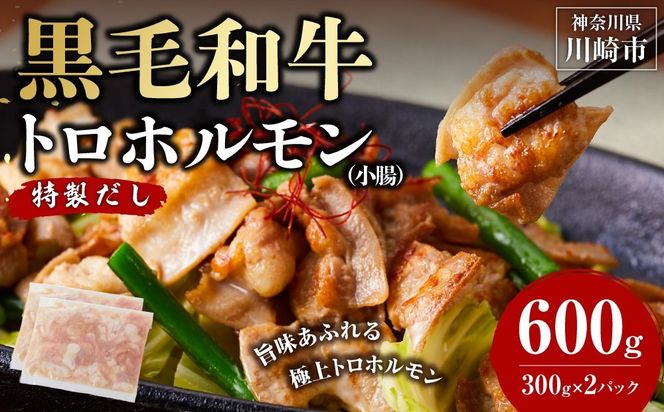 黒毛和牛トロホルモン（小腸）　特製だし0.6kg ( 300g ×2パック )【配送月が選べる】