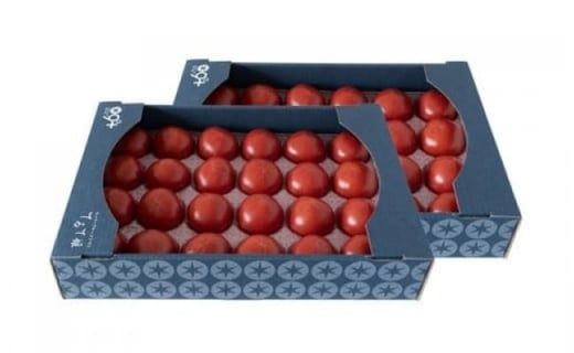 てるて姫 大箱 約2.6kg × 2箱 【20～35玉/1箱】 2026年産 野菜ソムリエサミット 金賞 糖度9度 以上 野菜 フルーツトマト フルーツ トマト とまと [AF110ci]