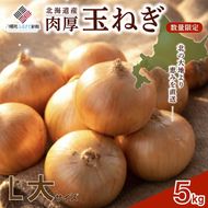 【新規】玉ねぎ L大サイズ 5kg