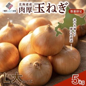【新規】玉ねぎ L大サイズ 5kg