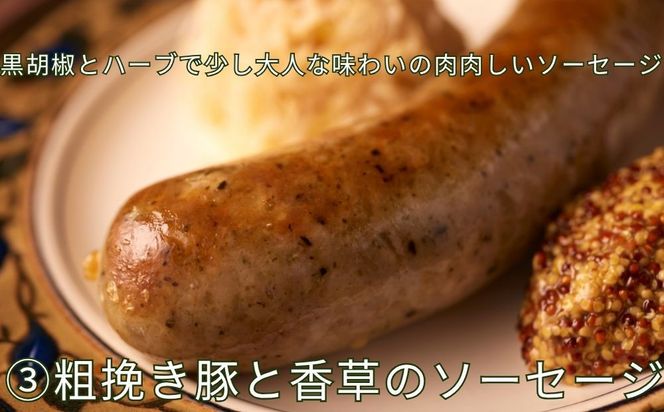 【ジャングルケイブ】肉感たっぷり 手作り無添加ソーセージ3種×2本(各約100g)｜京都 御所南 ソーセージとお肉の店 人気セット [ 手作り無添加ソーセージ 食べ比べ 1.スタンダード 2.鶏と瀬戸内レモンピール 3.豚粗挽き肉と香草 無添加 肉肉しい おいしい グルメ 人気 おすすめ ギフト プレゼント お取り寄せ 通販 送料無料 ふるさと納税 ］ 261009_B-XU08