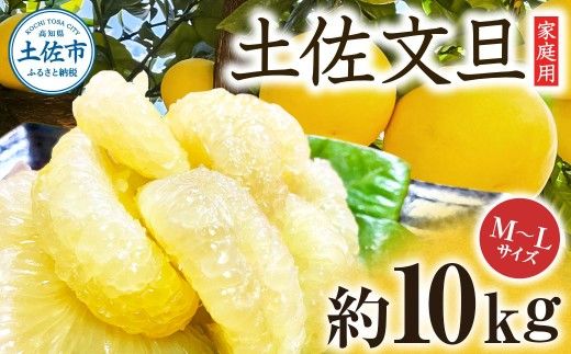 【先行予約】楠瀬さんの土佐文旦 家庭用 約10kg M～Lサイズ 24～30玉〈2027年2月15日～2027年4月5日発送〉 / ぶんたん ブンタン 文旦 フルーツ 柑橘 みかん 果物 くだもの 柑橘類 デザート お取り寄せ 国産 常温 配送【まる庄果樹園】[BQAF020]
