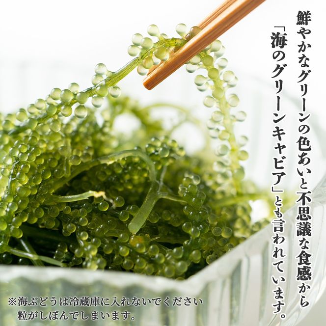 沖縄の海の恵み　3点セット（海ぶどう、天然もずく2パック、アーサ） もずくのタレ1本付 CK-13