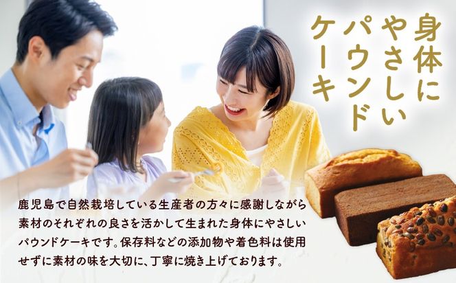 【10営業日以内に発送】SATSUMAのみやび　K325-002