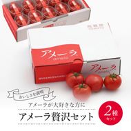 アメーラ トマト ミニトマト 10パック セット アメーラルビンズ 高糖度 7.5以上 化粧箱入り 産地 直送 新鮮 旬の 野菜 高級 フルーツトマト 甘い 静岡県 藤枝市