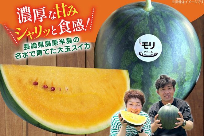 AJ457 【令和8年度出荷分】 湧水の里 モリファーム 大玉スイカ ムーンフラッシュ 2L 7～8kg 1玉 [ 先行予約 数量限定 すいか スイカ 西瓜 フルーツ 果物 長崎 長崎県 島原市 ]